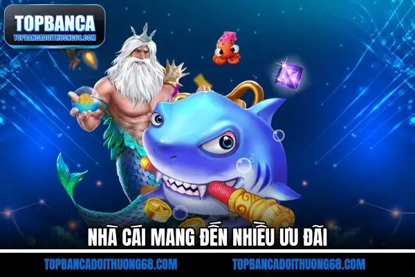 Nhà cái mang đến nhiều ưu đãi